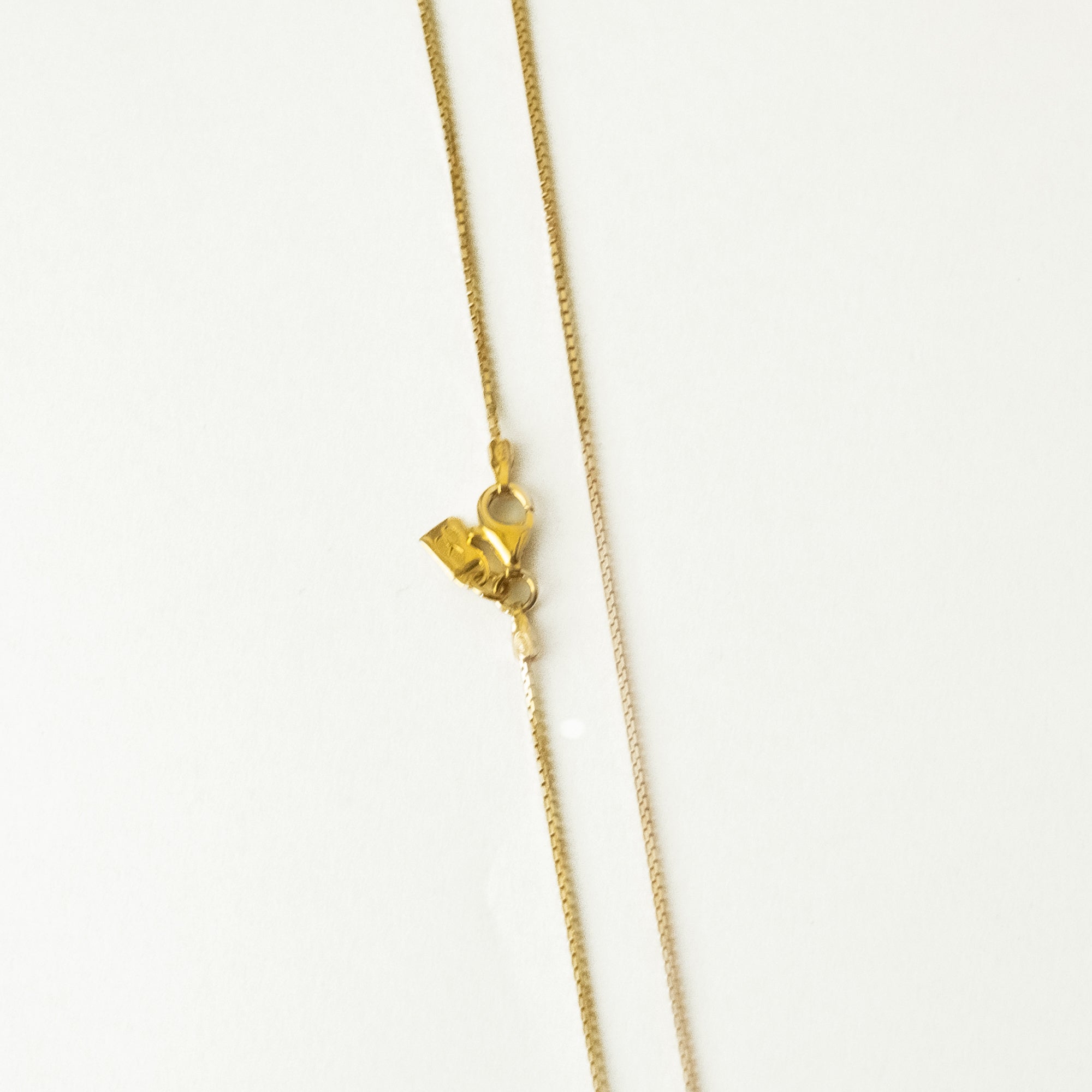 AL DENTE LIFE / PASTA SOCIAL CLUB Gold Necklace