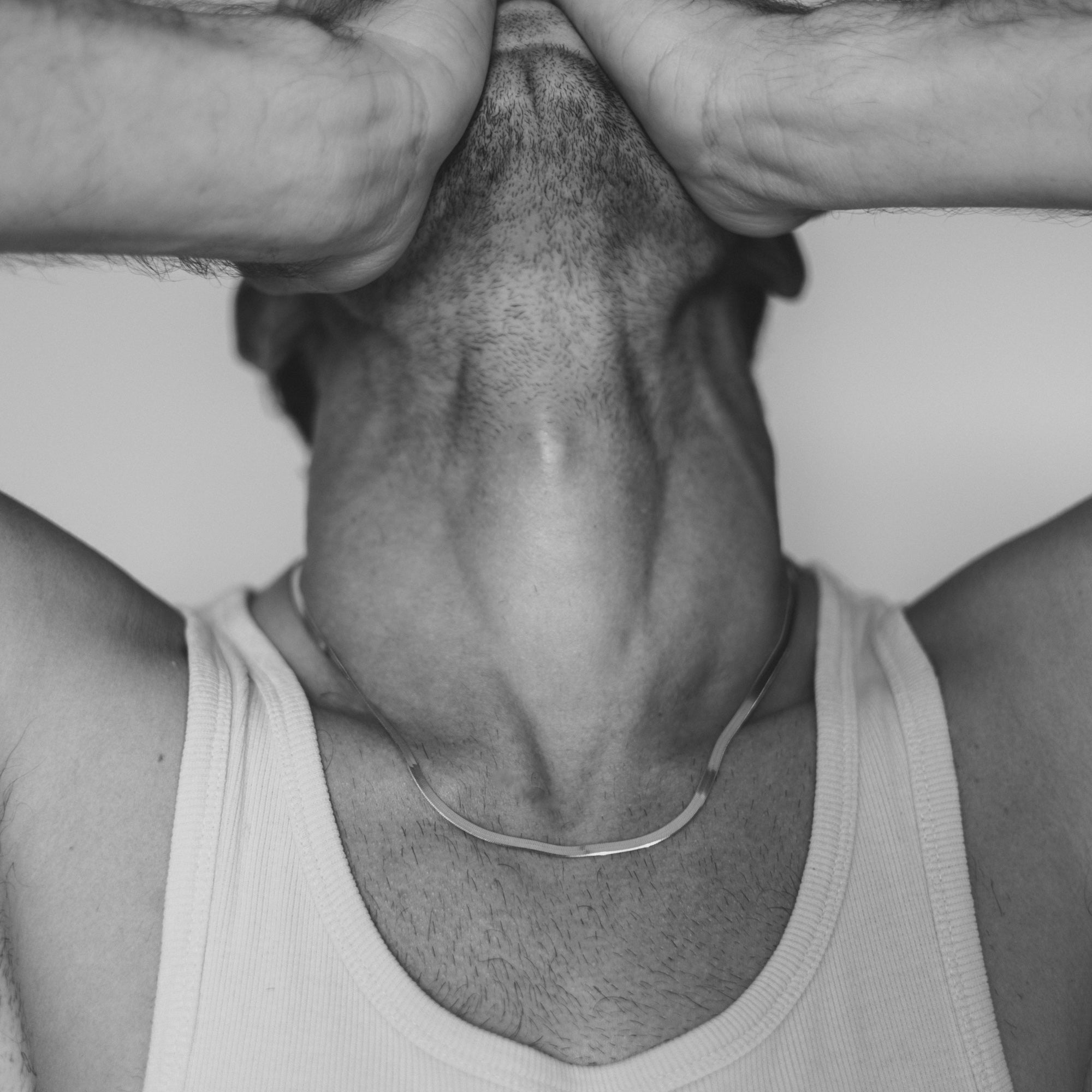 Collo di Serpente Necklace Silver