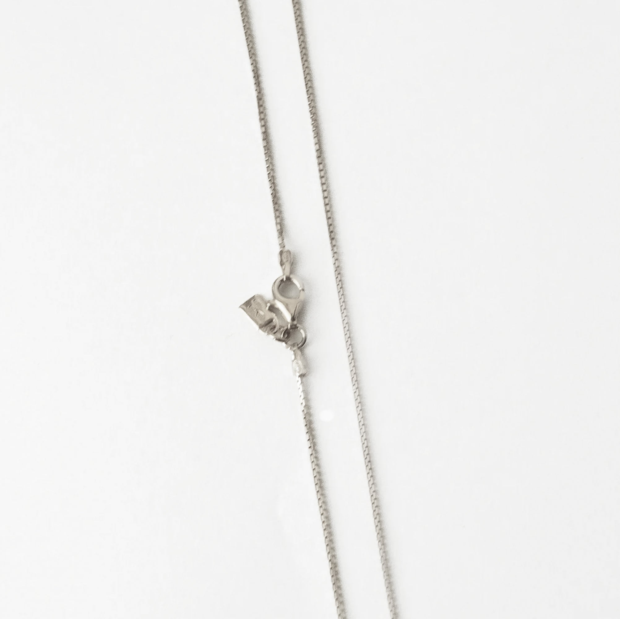 AL DENTE LIFE / PASTA SOCIAL CLUB Silver Necklace